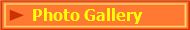   Photo Gallery